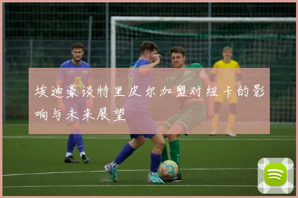 埃迪豪谈特里皮尔加盟对纽卡的影响与未来展望
