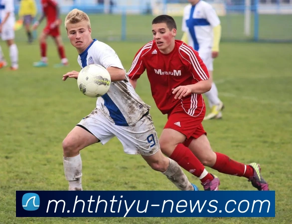 华体会体育平台生态图